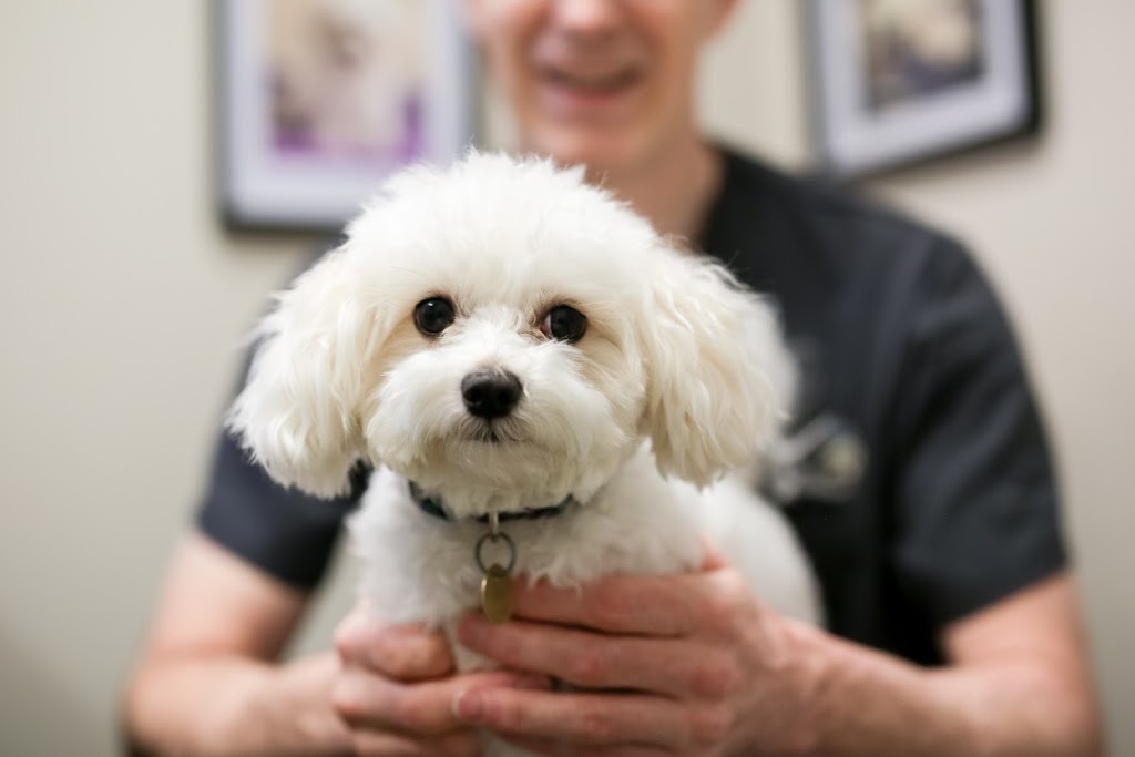 Draper Veterinary Services Centre Inc | 1144 Bedford Hwy, Bedford, NS B4A 1B8, Canada | Phone: (902) 835-6349