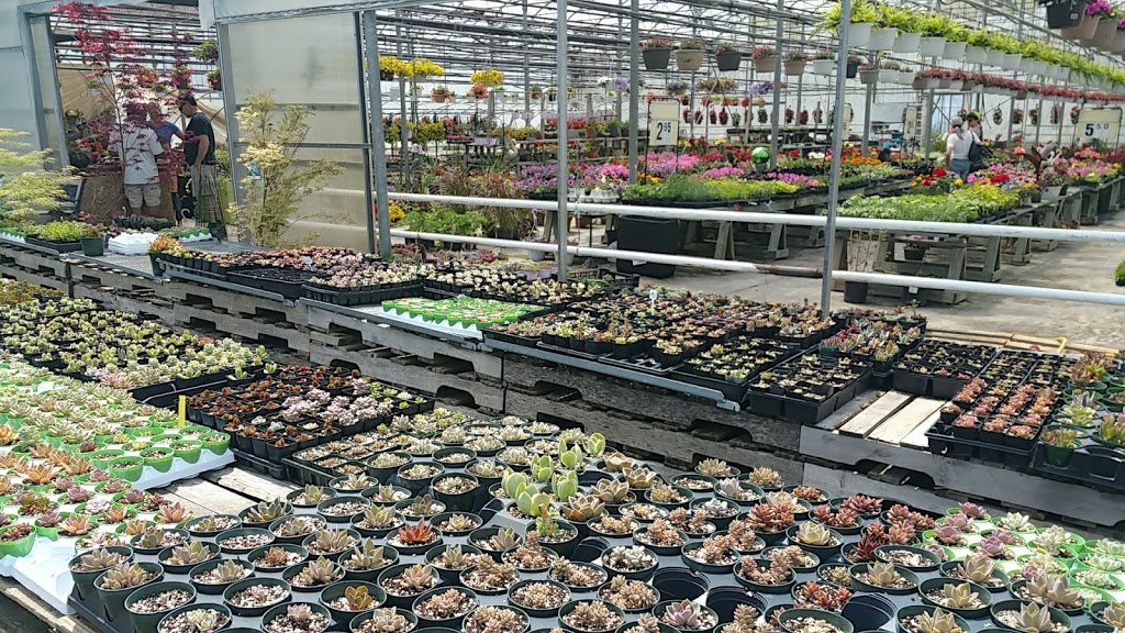 G & L Nurseries | store | 7294 RR 20, Smithville, ON L0R 2A0, Canada | 9059576471 OR +1 905-957-6471