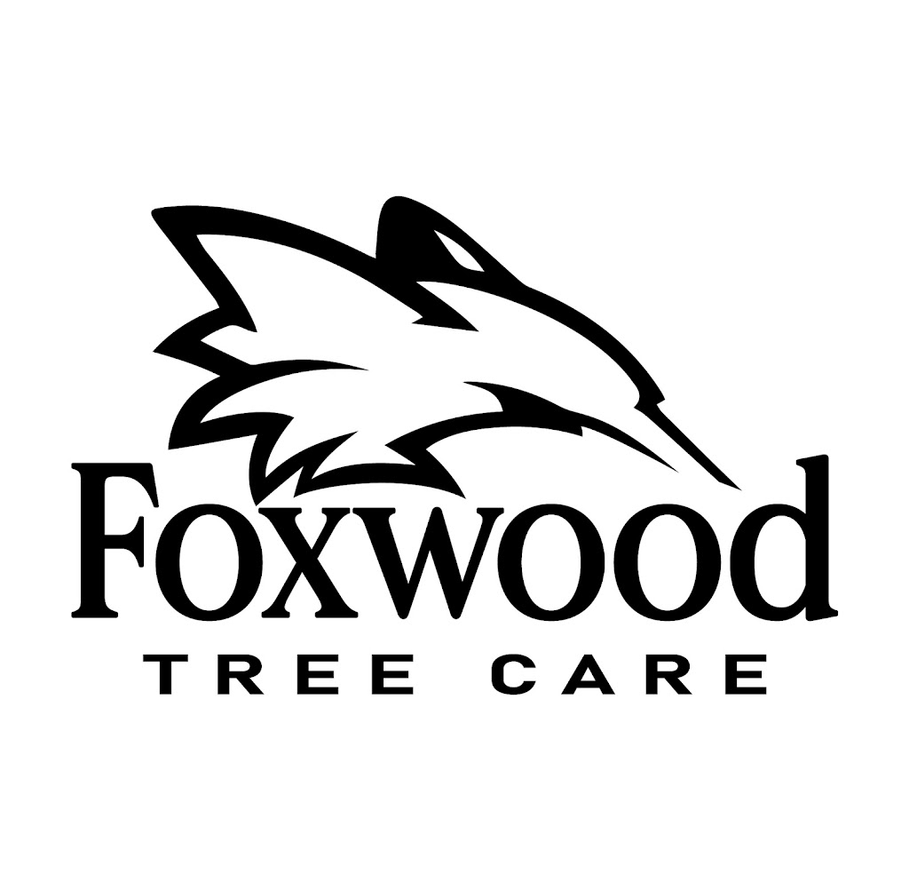 Foxwood Tree Care | Foxwood Crescent, Mineville, NS B2Z 1J7, Canada | Phone: (902) 401-2881