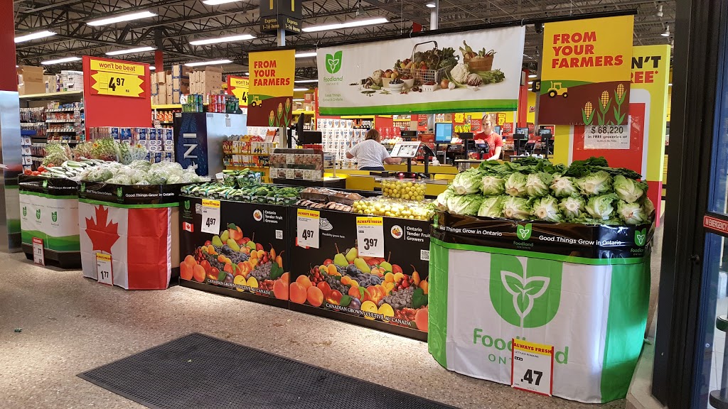 Guthros No Frills | 380 Queen St, Acton, ON L7J 2N3, Canada | Phone: (866) 987-6453