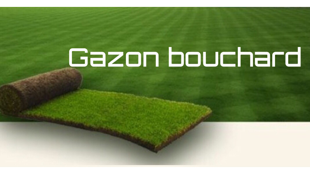 Gazon Bouchard - La relève | 2693 Chem. du Plateau N, La Baie, QC G7B 0H1, Canada | Phone: (418) 818-0787