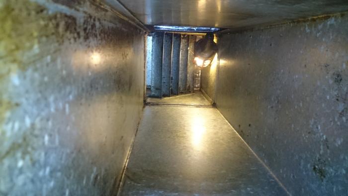 Siddall Dryer Vent Cleaning | 3463 Kingston Rd, Scarborough, ON M1M 1R4, Canada | Phone: (647) 696-4988