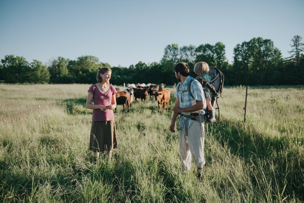 Little Trickle Farm | 1646 Mine View Rd, Cobden, ON K0J 1K0, Canada | Phone: (613) 281-8524