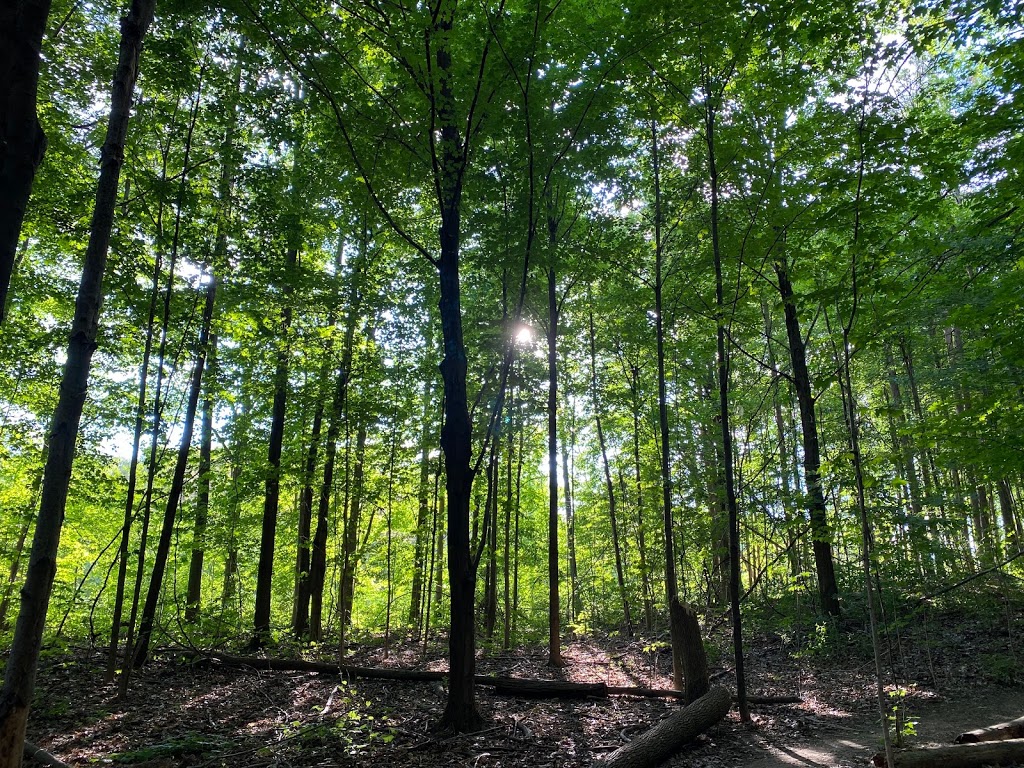 Carscadden Greenbelt Park | 32X Carscadden Dr, Toronto, ON, Carscadden Greenbelt, 32X Carscadden Dr, Toronto, ON M3H 4Z3, Canada | Phone: (416) 338-4386