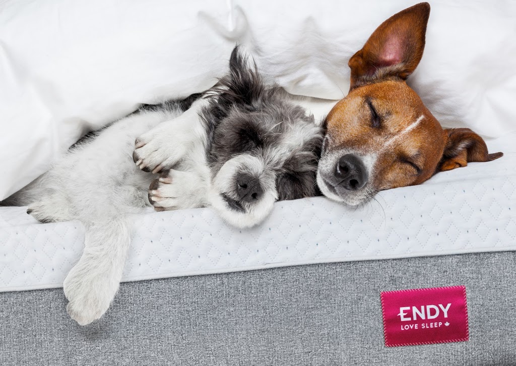 Endy | 28 Bathurst St Unit 1109, Toronto, ON M5V 0R4, Canada | Phone: (866) 304-3639