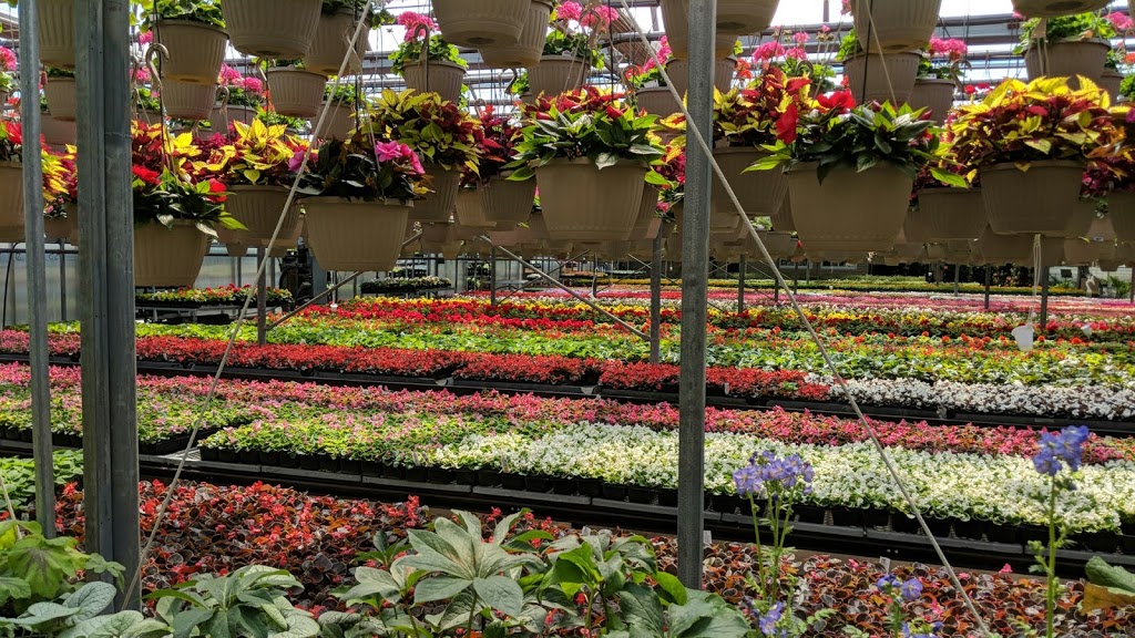 Tree Valley Garden Centre | 4431 Stouffville Rd, Whitchurch-Stouffville, ON L4A 7X5, Canada | Phone: (905) 640-2020