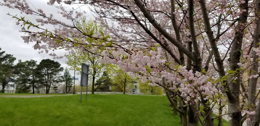 Calumet Residence | 75 Arboretum Ln, North York, ON M3J 2S5, Canada | Phone: (416) 736-2100