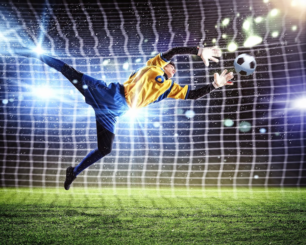Sports-Inter Plus | 420 Rue Faraday, Québec, QC G1N 4E5, Canada | Phone: (800) 463-5561