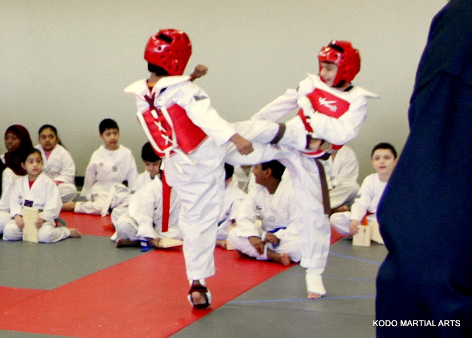 KODO MARTIAL ARTS - Hapkido & Taekwondo Academy | 4316 Ebenezer Rd, Brampton, ON L6P 1S4, Canada | Phone: (416) 899-9570