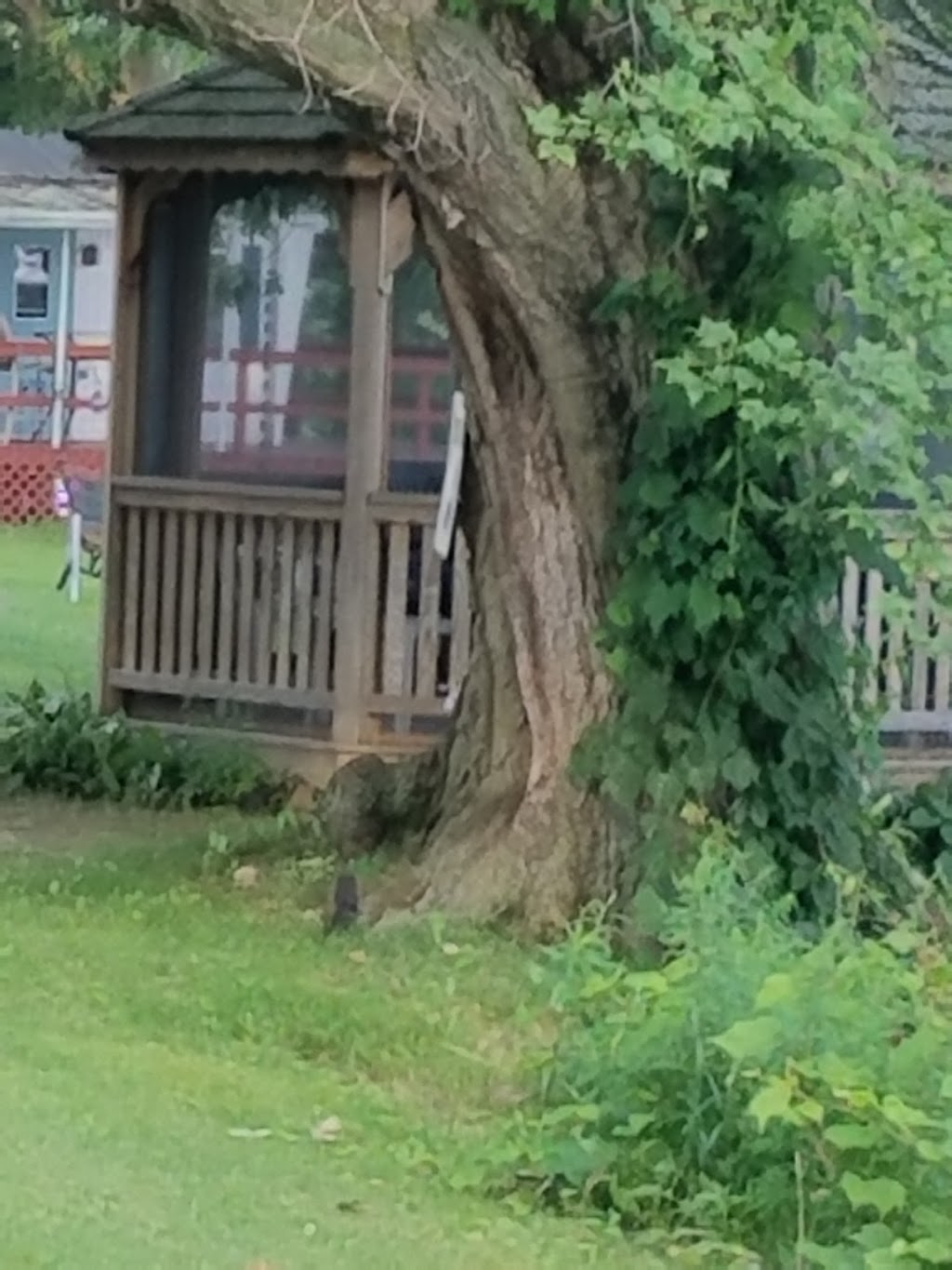 Birch Haven Camp Ground | 38191 NY-12E, Clayton, NY 13624, USA | Phone: (315) 686-5253