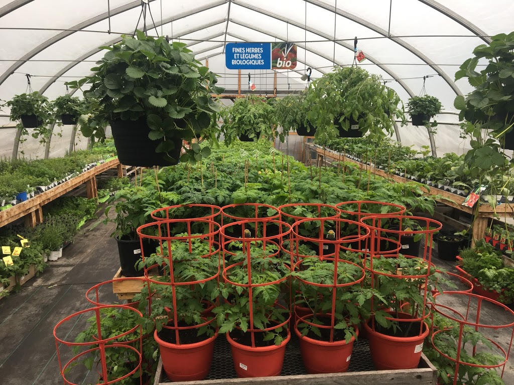 Botanix Faucher Plantes & Pavés Bromont | 15 Chemin des Carrières, Bromont, QC J2L 1S1, Canada | Phone: (450) 534-0033