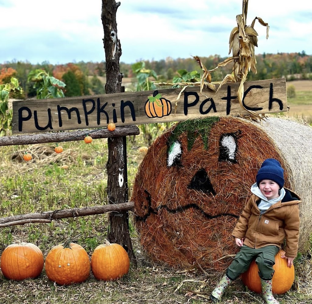 Nine Hand Hill Farm | 1098 Harold Rd, Stirling, ON K0K 3E0, Canada | Phone: (613) 661-7735
