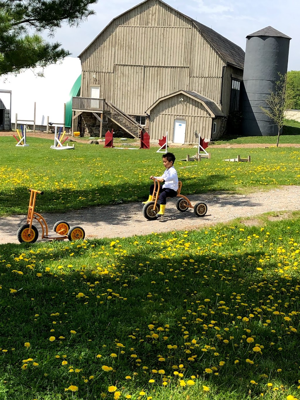 Earthbound Kids / Camp Tree Top | 155 Uxbridge Pickering Townline, Whitchurch-Stouffville, ON L4A 7X4, Canada | Phone: (905) 642-6087
