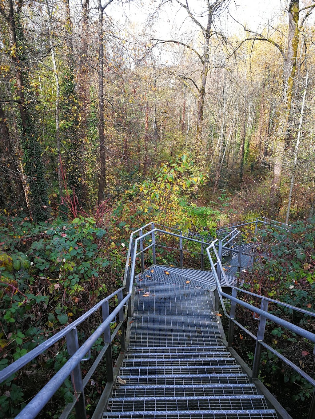 Glenbrook Ravine Park | 76 Jamieson Ct, New Westminster, BC V3L 5M7, Canada | Phone: (604) 520-0876