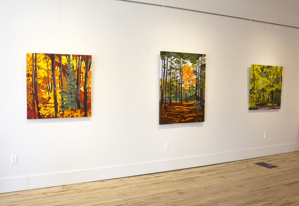 Colborne Street Gallery | 44 Colborne St, Fenelon Falls, ON K0M 1N0, Canada | Phone: (705) 887-0997