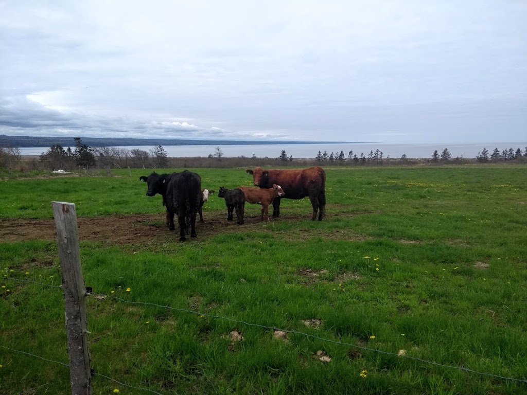 Moon Tide Farm | 1233 Cape Split Rd, Canning, NS B0P 1H0, Canada | Phone: (902) 582-1667