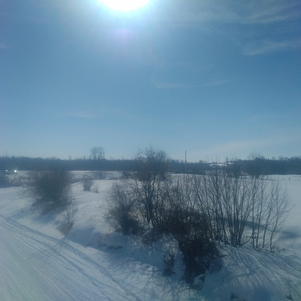 Duane Bingeman Contracting | NE 13-43-26 W 4, Ponoka, AB T4J 1R5, Canada | Phone: (403) 350-6699