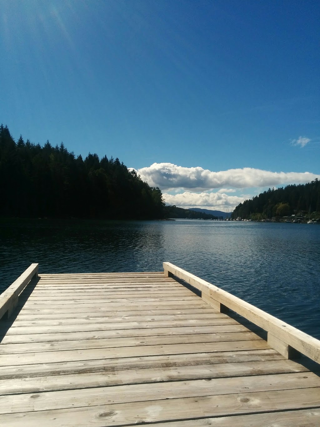 Thetis Island Marina and Resort | 46 Harbour Rd, Thetis Island, BC V0R 2Y0, Canada | Phone: (250) 246-3464