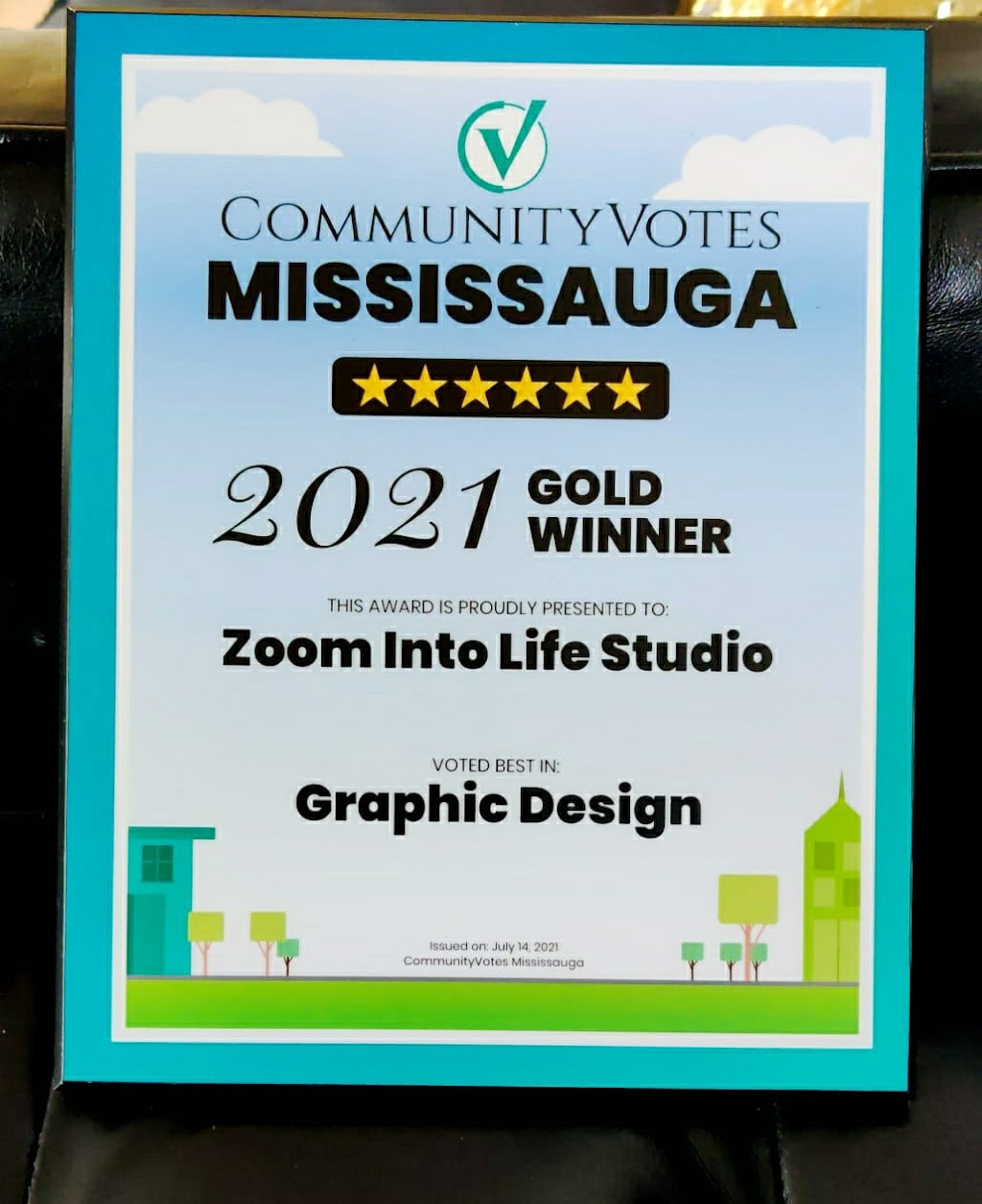 Zoom Into Life Studio | Dunnview Ct, Mississauga, ON L5N 7E4, Canada | Phone: (905) 783-0782