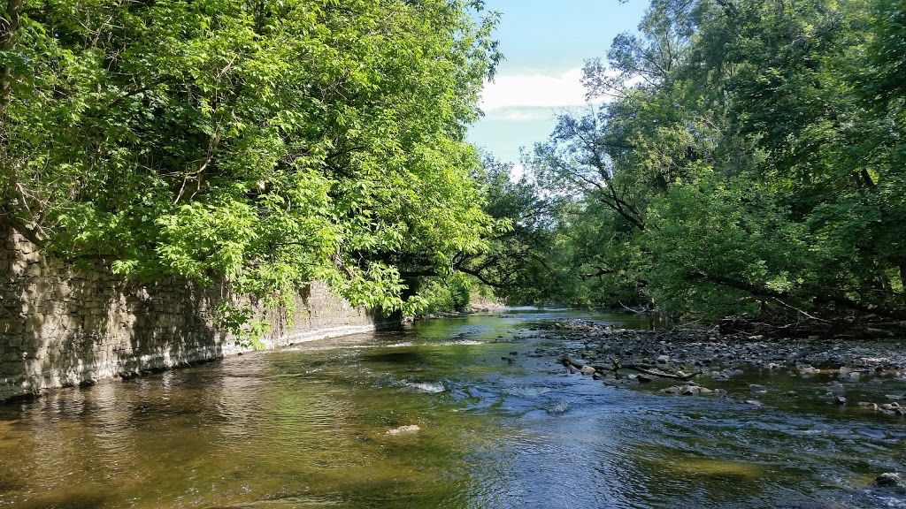Joseph Wolfond Park East | 230 Arthur St N, Guelph, ON N1E 4V8, Canada
