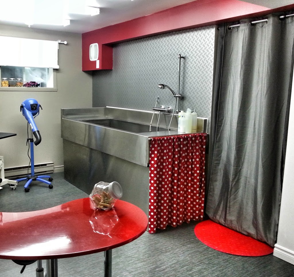 Salon De Toilettage Moustaches Et Bigoudis | 279 Boulevard Jacques Cartier # 3, Shannon, QC G3S 1P2, Canada | Phone: (418) 473-9754