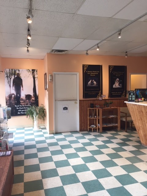 A Pooch Parlour Pet Groomers | 451 Windmill Rd, Dartmouth, NS B3A 1J9, Canada | Phone: (902) 463-5959