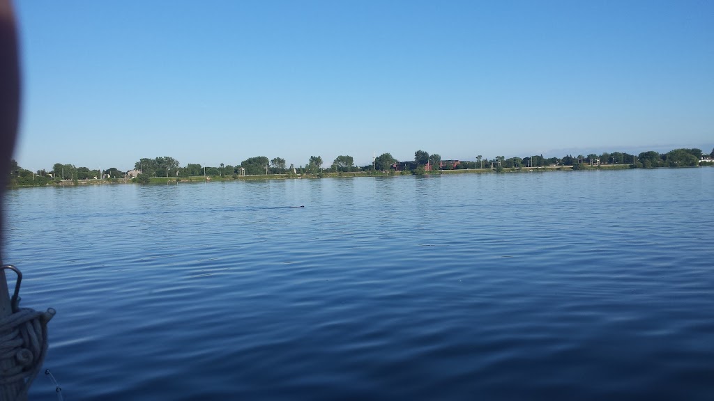 Parc récréatif canin | 450 Rue Saint-Philippe, La Prairie, QC J5R 1G9, Canada | Phone: (450) 444-6600
