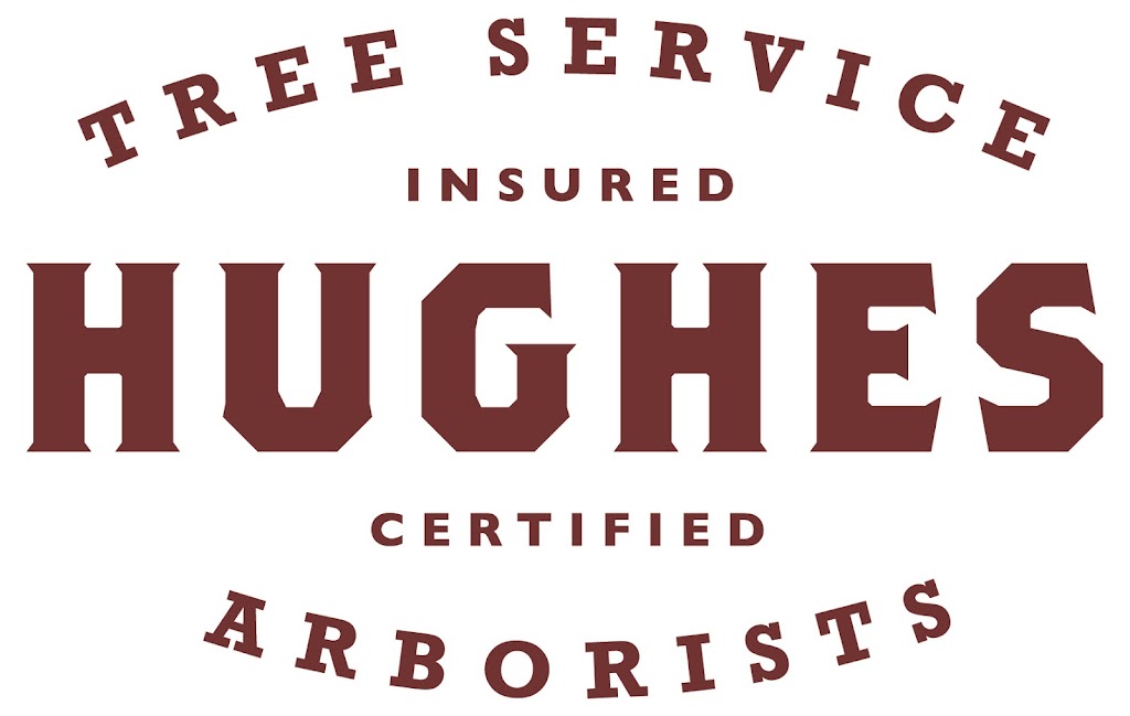 Hughes Tree Service | 12 Shelley Dr, Little Britain, ON K0M 2C0, Canada | Phone: (705) 340-2676
