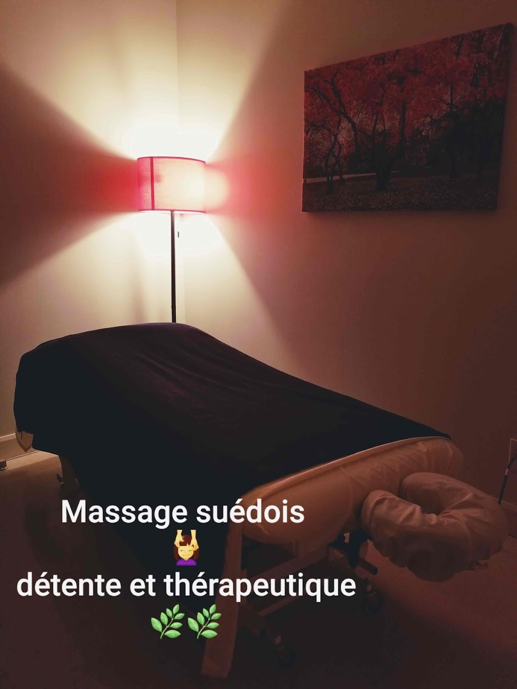 Massothérapie Vanessa Guillemette | 1500 Bd Industriel, Chambly, QC J3L 6Z7, Canada | Phone: (514) 891-2166