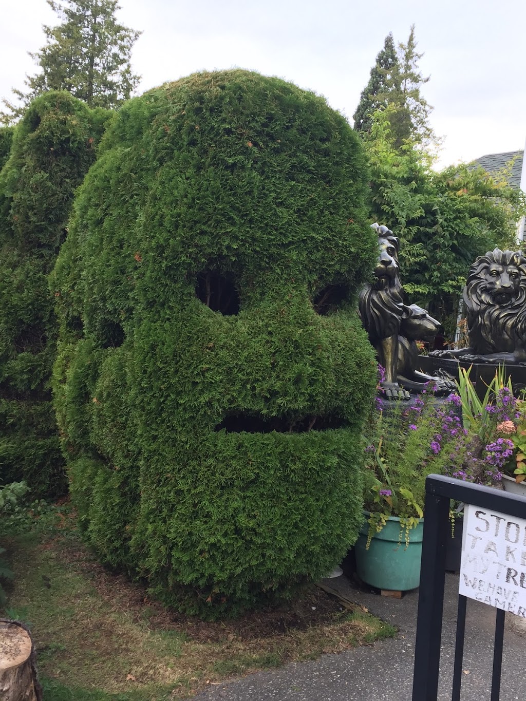 Maple Guesthouse | 1182 W King Edward Ave, Vancouver, BC V6H 1Z6, Canada | Phone: (604) 771-4911