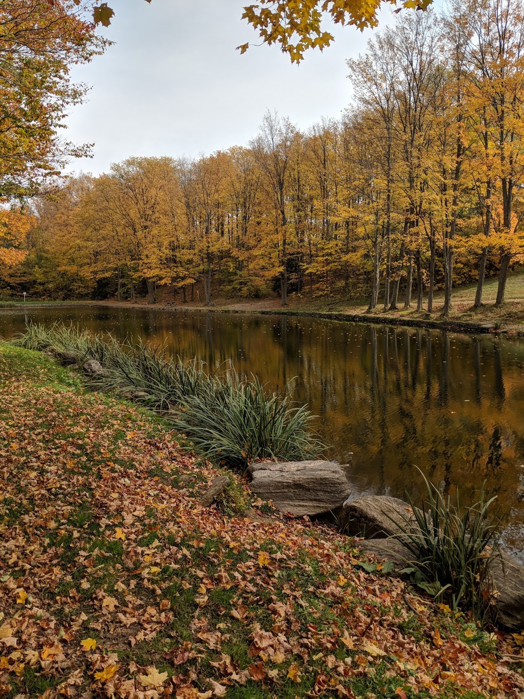 Glen Haffy Conservation Park | 19245 Airport Rd, Caledon East, ON L7K 2M9, Canada | Phone: (905) 584-2922