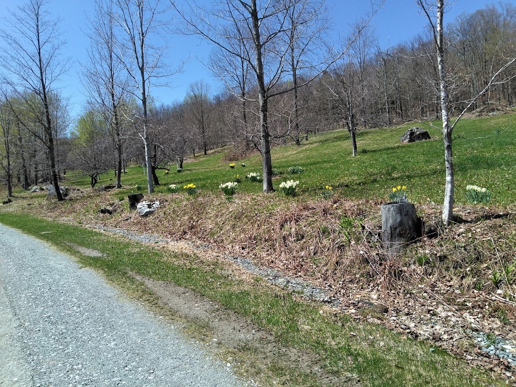 High Ponds Farm LLC | 478 Rossier Rd, Montgomery Center, VT 05471, USA | Phone: (802) 326-4799