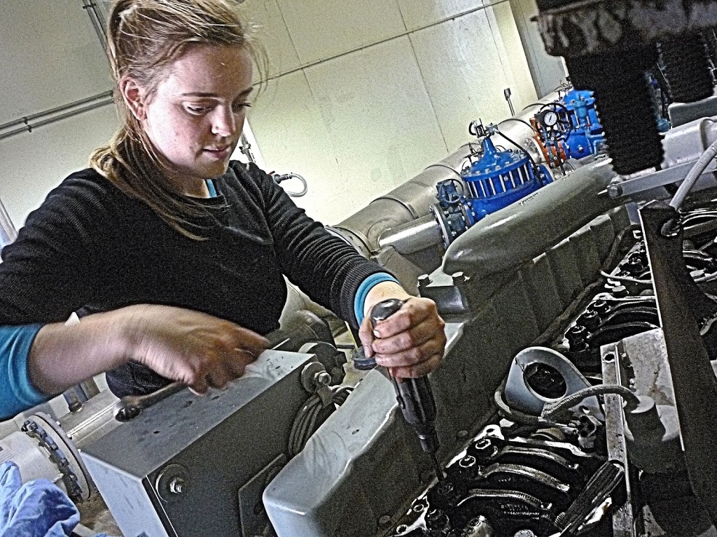 DW Diesel Equipment Inc. | 873 Garthorne Ave, Bridgenorth, ON K0L 1H0, Canada | Phone: (705) 933-9629