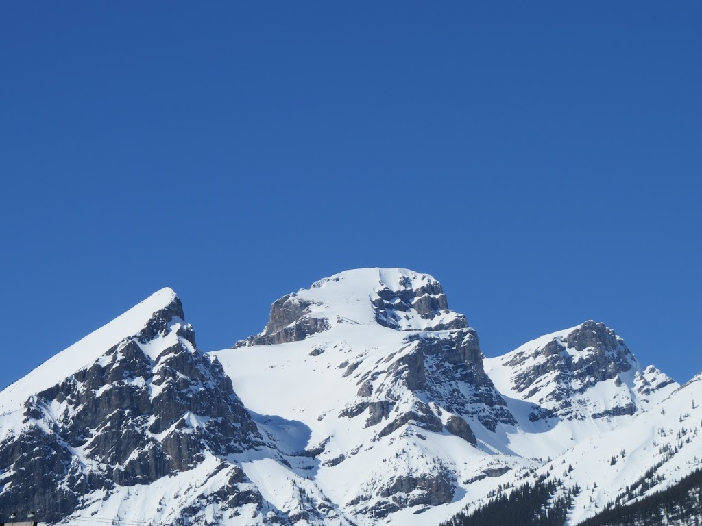 Fernie Lawn Care Services | 601 2 Ave, Fernie, BC V0B 1M0, Canada | Phone: (250) 278-7857