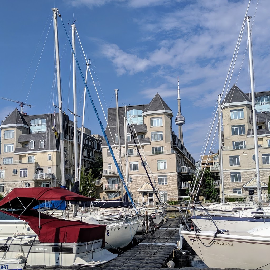 alexandra yacht club toronto