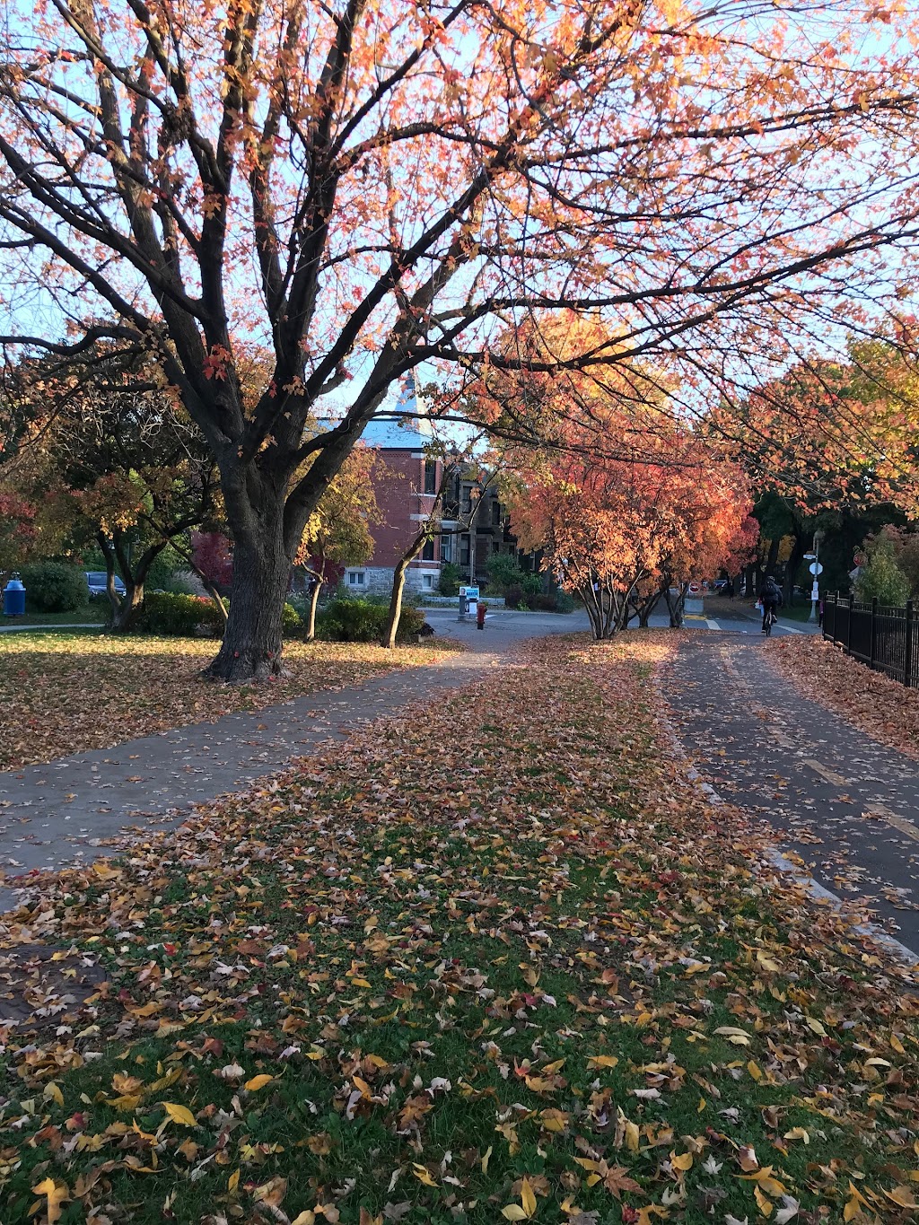 Westmount Park Elementary School | 15 Pl. Park, Westmount, QC H3Z 2K4, Canada | Phone: (514) 935-4388