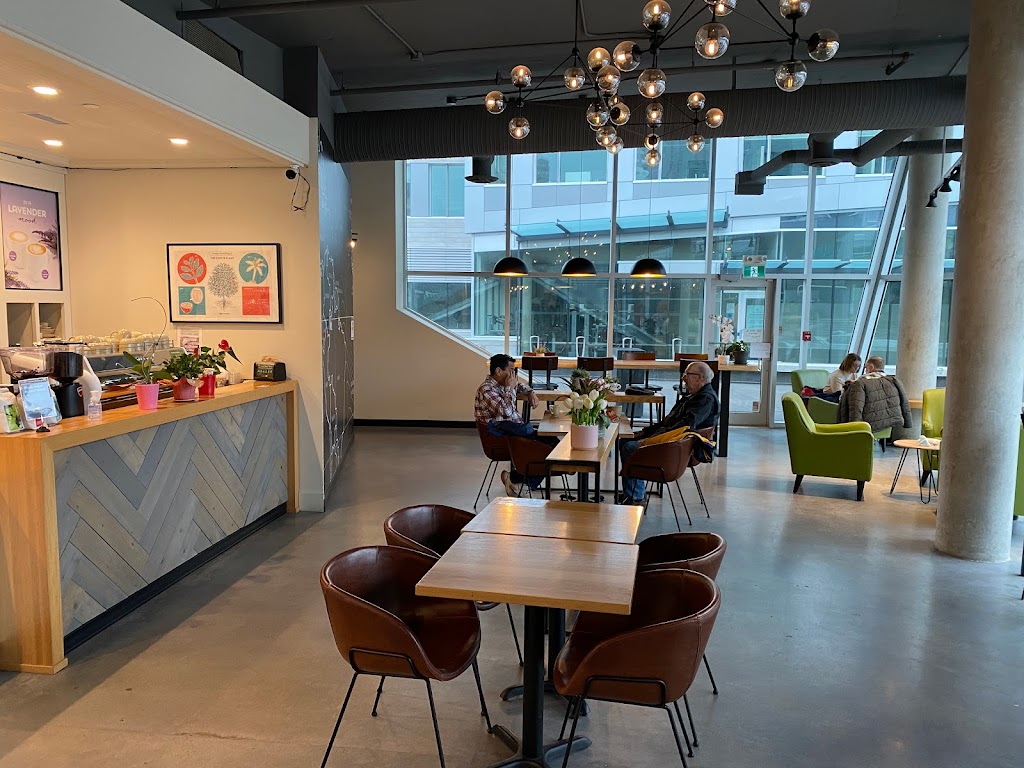 Good Earth Coffeehouse - Capital Park | 535 Superior St, Victoria, BC V8V 0C5, Canada | Phone: (250) 590-0165
