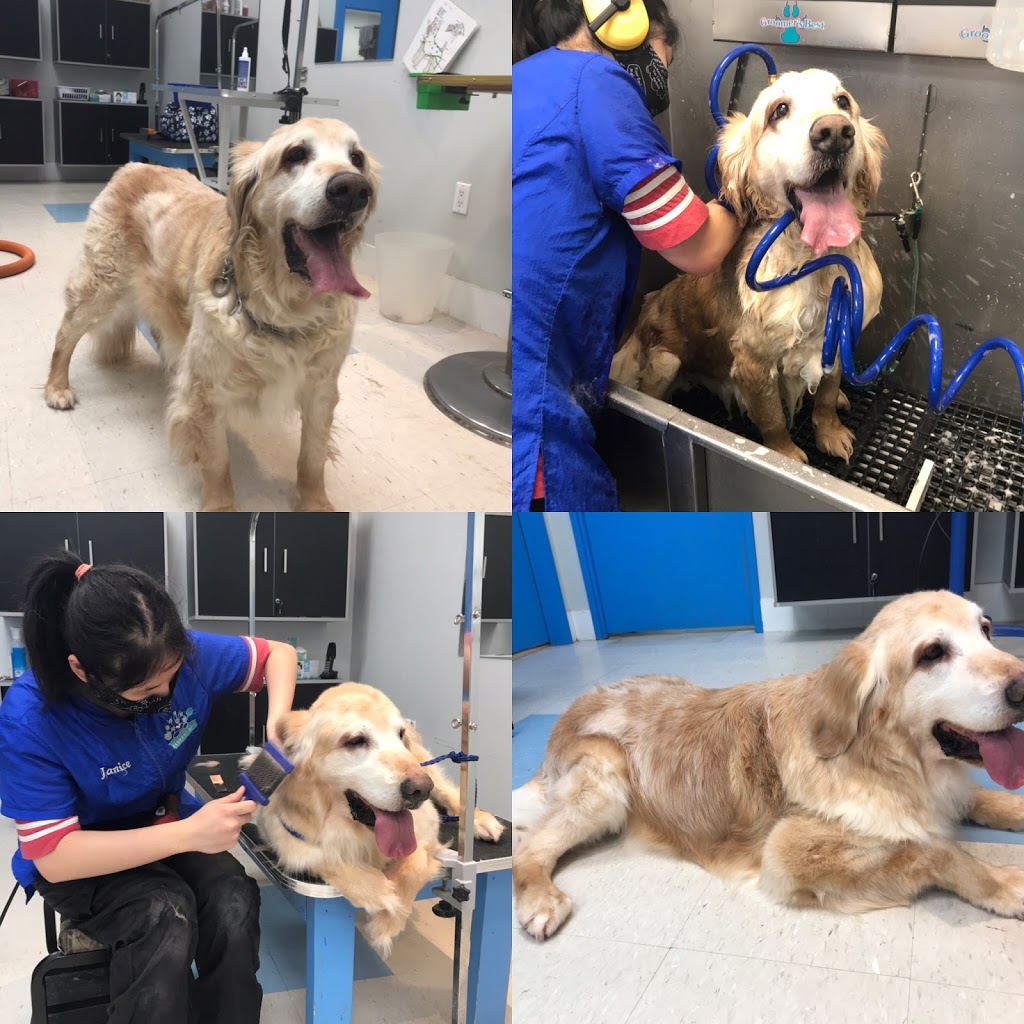 Fluffy Spa | 328 York Regional Rd 7 #3, Richmond Hill, ON L4B 3P7, Canada | Phone: (905) 709-9908