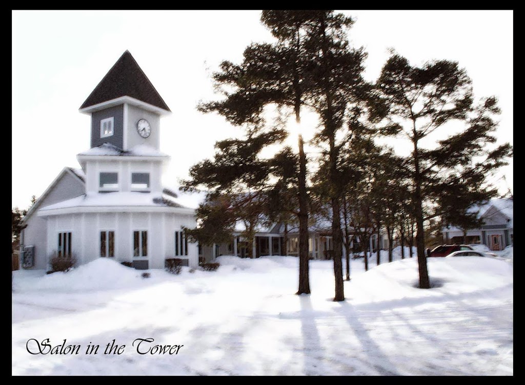 Salon & Spa in the Tower | 10225 Main St #20, Clarence, NY 14031, USA | Phone: (716) 759-1200