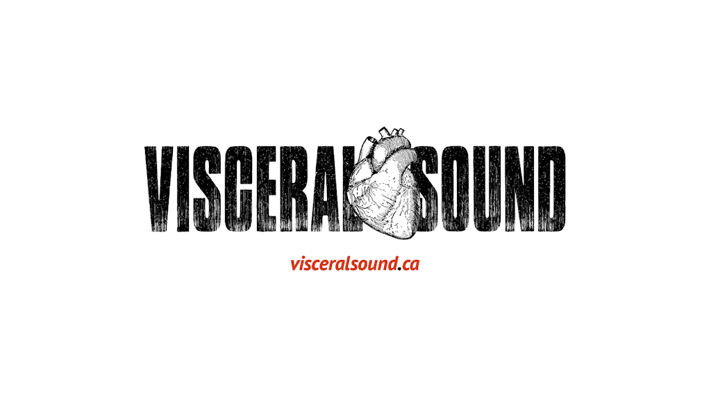 Visceral Sound | 2486 Cadillac St, Windsor, ON N8W 3Y5, Canada | Phone: (519) 562-2506