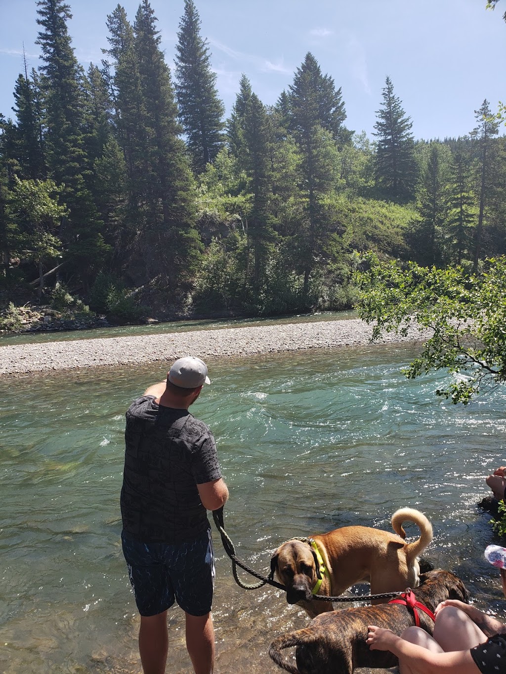 Castle Falls Campground | Castle Falls Rd, Pincher Creek No. 9, AB T0K 1C0, Canada | Phone: (403) 627-1165