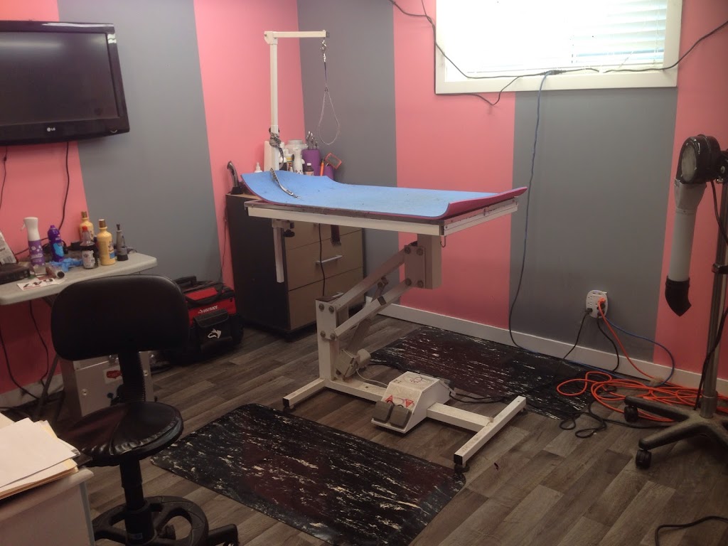 Mystic Pawz Dog Grooming | Midnapore, Calgary, AB T2X 1C7, Canada | Phone: (403) 251-7297