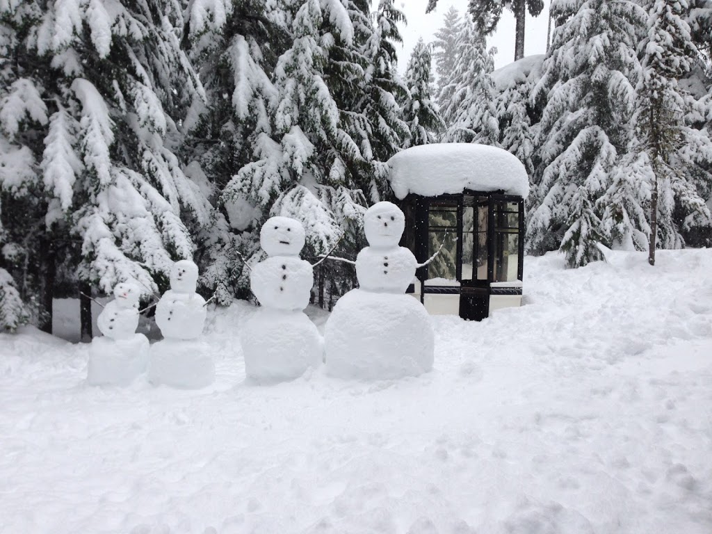 Fireside Lodge | 2117 Nordic Dr, Whistler, BC V0N 1B2, Canada | Phone: (604) 932-4545
