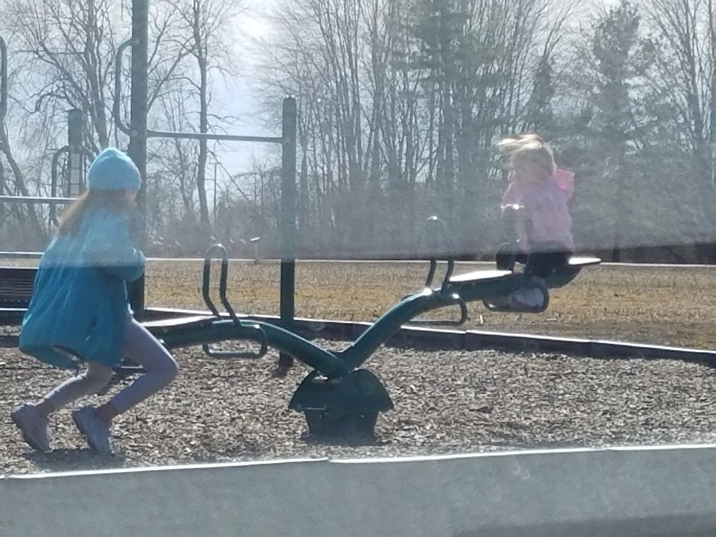 Wales Township Park | 1372 Wales Center Rd, Goodells, MI 48027, USA | Phone: (810) 325-9009