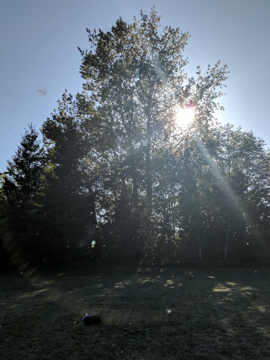 Birchwood Park | 2709 Cedarwood Ave, Bellingham, WA 98225, USA | Phone: (360) 778-7000