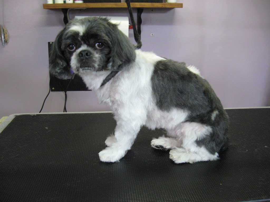 Aux PTits Soins | 191 QC-216, Stoke, QC J0B 3G0, Canada | Phone: (819) 878-3246