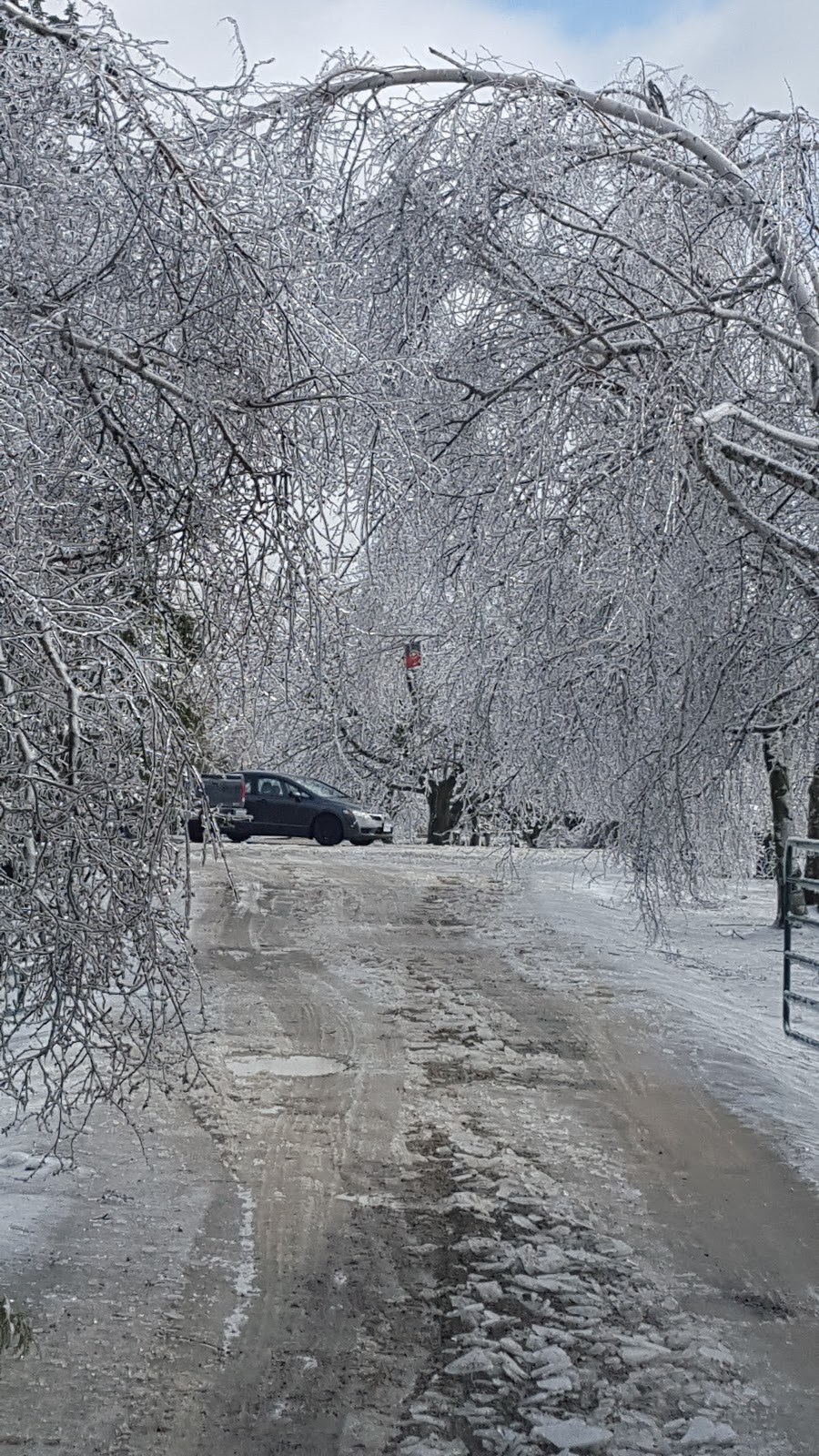 Royaleigh Acres | 9575 Side Rd 5, Erin, ON N0B 1T0, Canada | Phone: (905) 616-0513