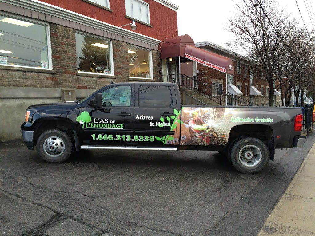Lettragraphic | 1502 Boulevard Taschereau, LeMoyne, QC J4P 3M7, Canada | Phone: (450) 923-9204