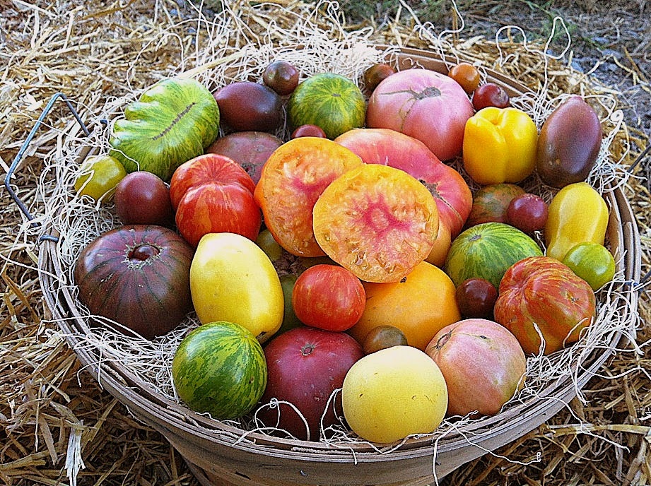Harkers Organics | BC-3, Cawston, BC V0X 1C0, Canada | Phone: (250) 499-2751