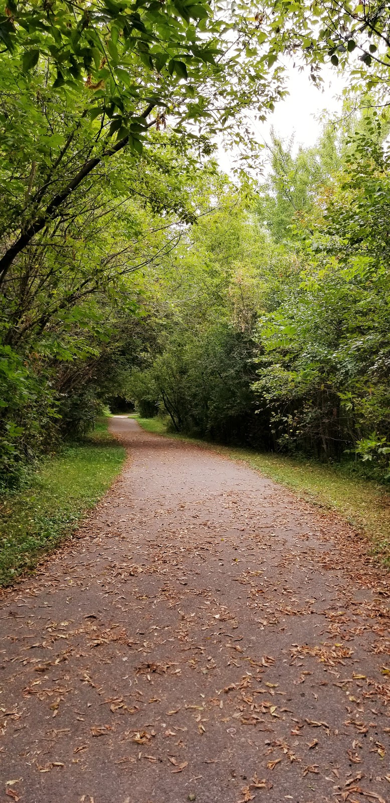 Woods Park | Carrville Rd, Richmond Hill, ON L4C 5W3, Canada | Phone: (905) 771-8800